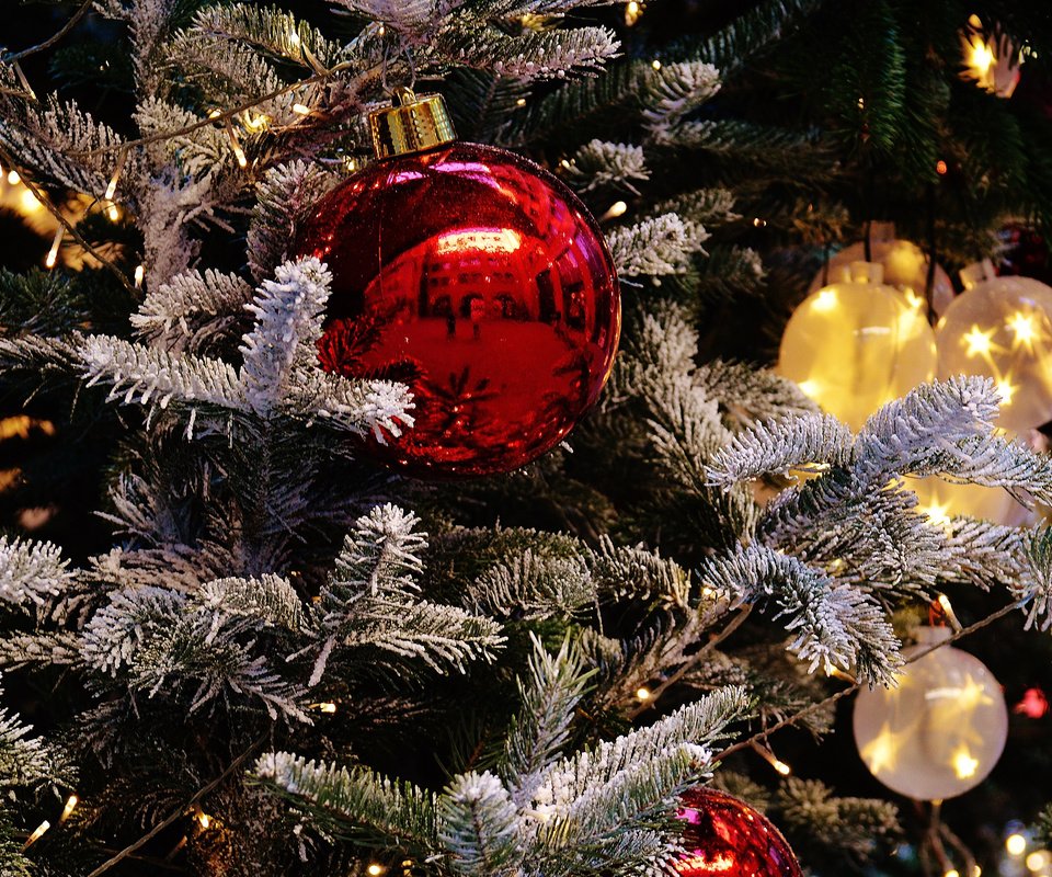 Обои новый год, елка, шары, иней, рождество, елочные игрушки, гирлянда, new year, tree, balls, frost, christmas, christmas decorations, garland разрешение 3840x2400 Загрузить