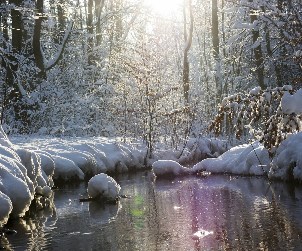 Обои река, природа, лес, зима, river, nature, forest, winter разрешение 2880x1800 Загрузить