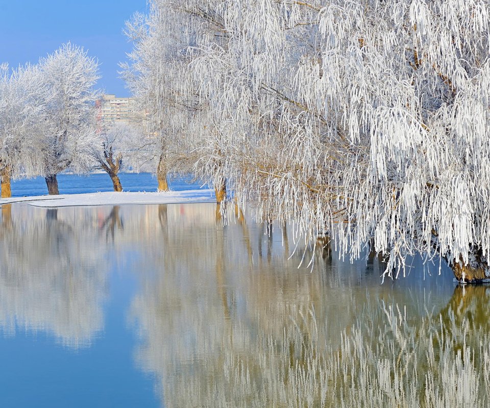 Обои деревья, ordache, озеро, природа, зима, отражение, пейзаж, иней, ивы, trees, lake, nature, winter, reflection, landscape, frost, willow разрешение 1920x1200 Загрузить