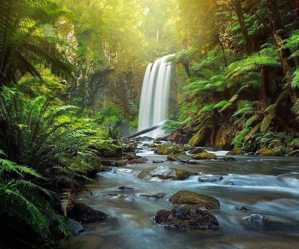 Обои река, great otway national park, hopetoun falls, природа, лес, водопад, австралия, папоротник, виктория, the otways, aire river, river, nature, forest, waterfall, australia, fern, victoria разрешение 1920x1080 Загрузить