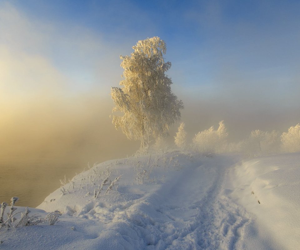 Обои дорога, следы, снег, sergeo, природа, дерево, зима, пейзаж, туман, иней, road, traces, snow, nature, tree, winter, landscape, fog, frost разрешение 1920x1200 Загрузить