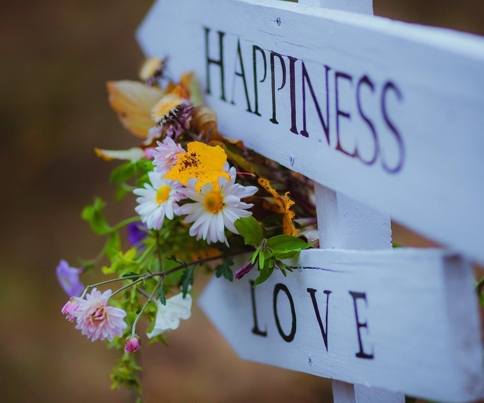 Обои цветы, любовь, букет, счастье, полевые цветы, указатель, flowers, love, bouquet, happiness, wildflowers, index разрешение 2880x1800 Загрузить
