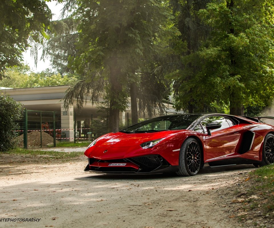 Обои красный, ламборгини, авентадор, red, lamborghini, aventador разрешение 5927x3964 Загрузить