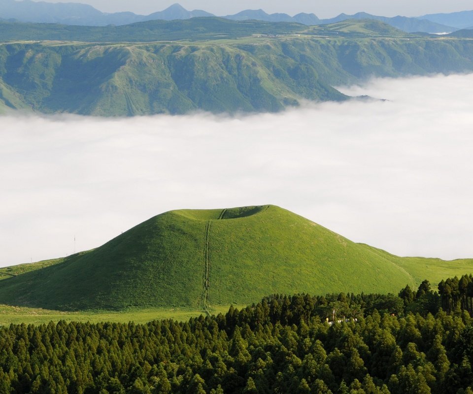 Обои деревья, лес, туман, япония, вулкан, кумамото, вулкан асо, trees, forest, fog, japan, the volcano, kumamoto, the volcano aso разрешение 3840x2160 Загрузить