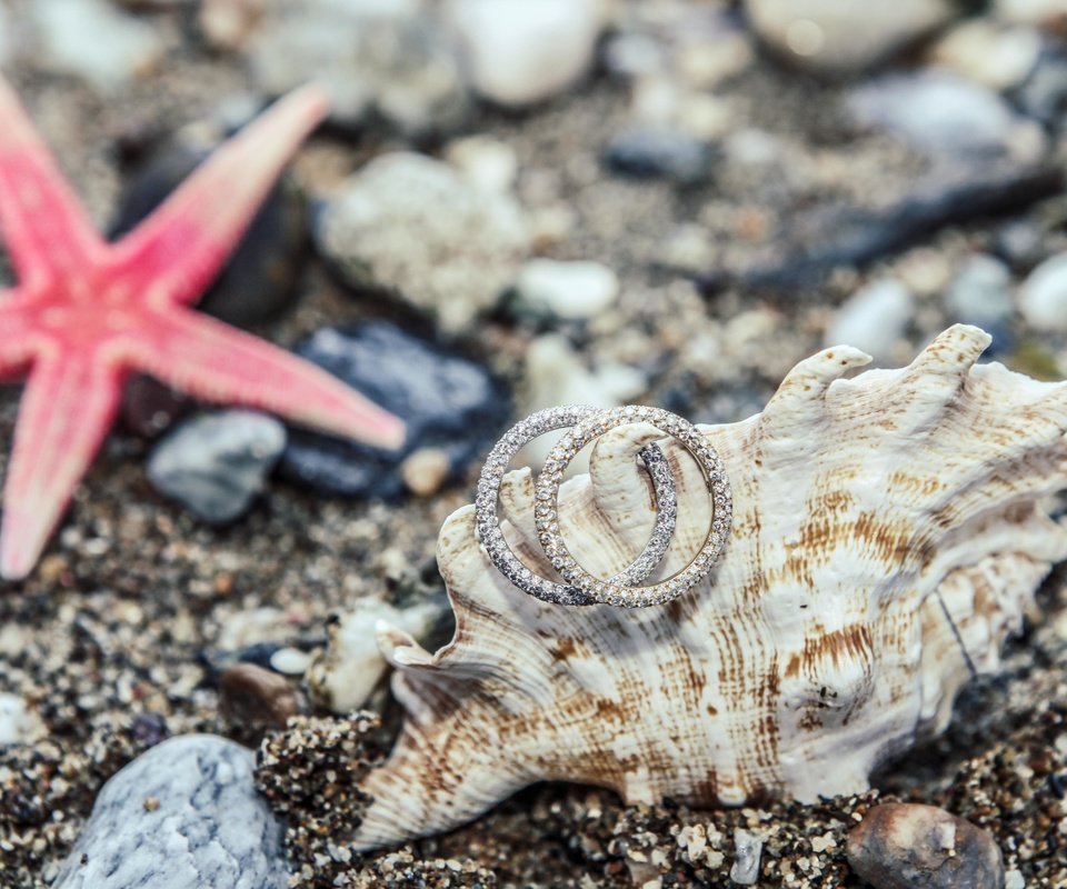 Обои камни, украшения, песок, кольца, ракушка, морская звезда, stones, decoration, sand, ring, shell, starfish разрешение 4990x3327 Загрузить