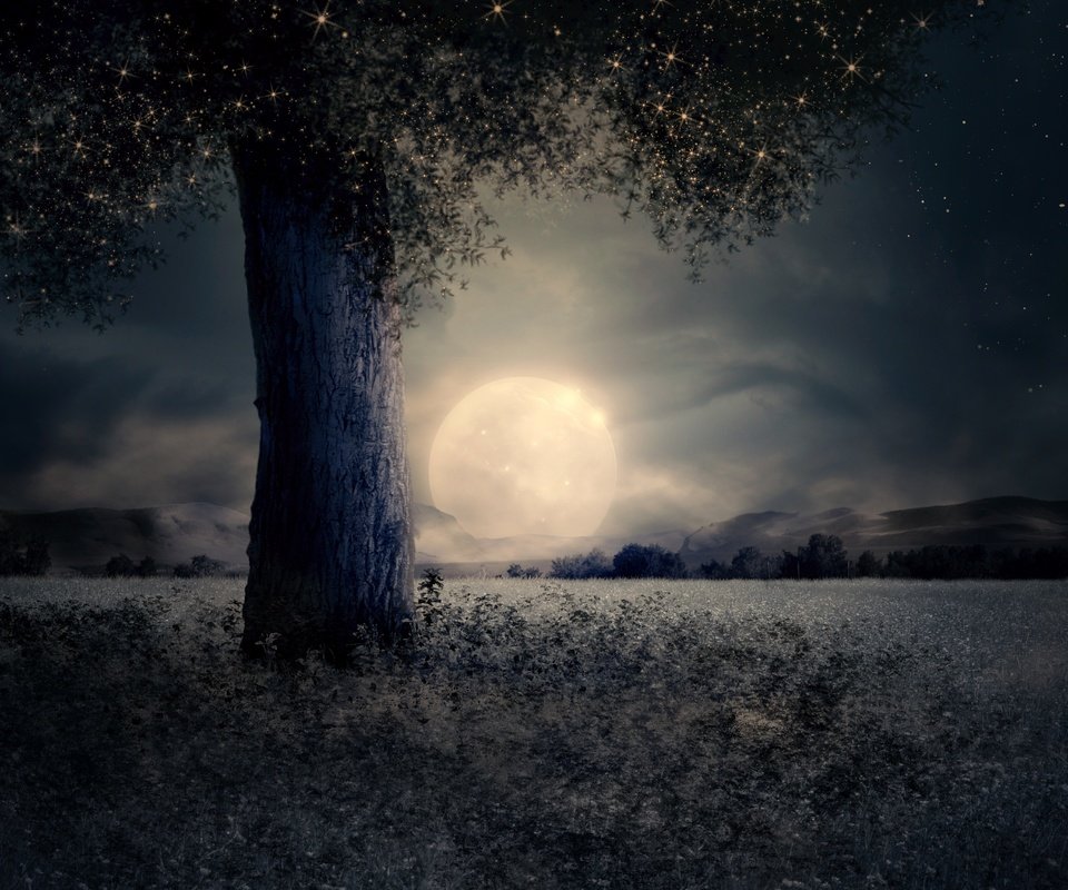 Обои ночь, дерево, пейзаж, луна, night, tree, landscape, the moon разрешение 4288x2848 Загрузить