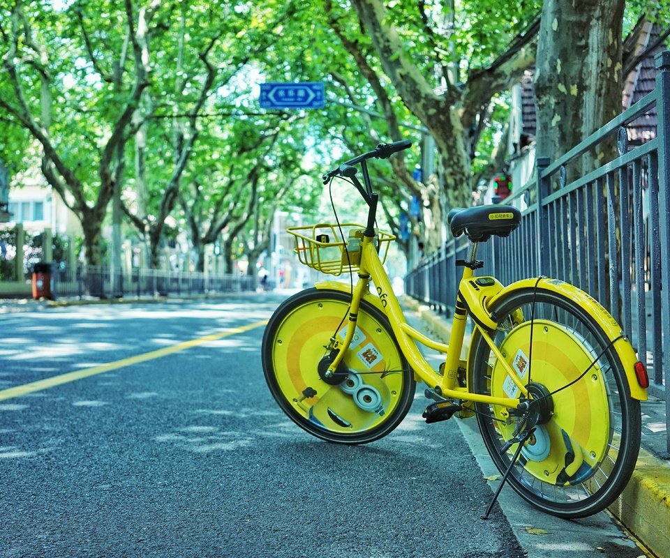 Обои деревья, город, улица, велосипед, trees, the city, street, bike разрешение 5567x3706 Загрузить