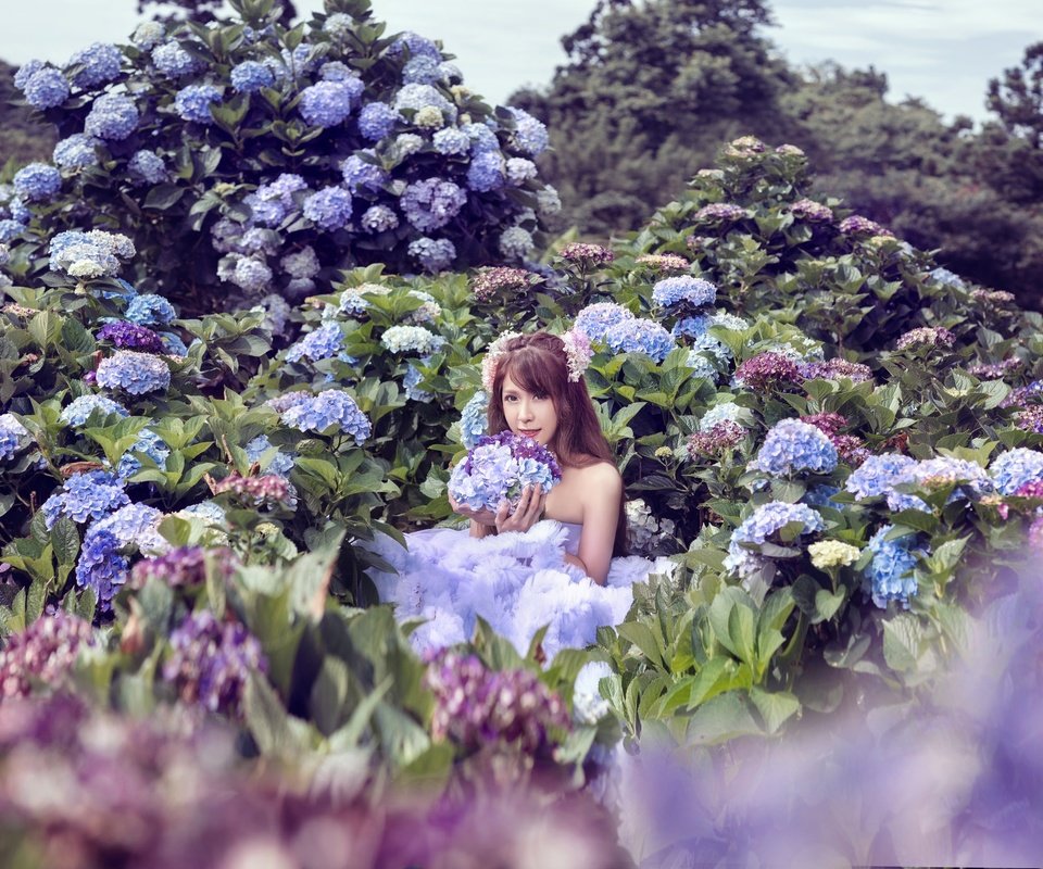 Обои цветы, девушка, азиатка, гортензия, фотоссесия, flowers, girl, asian, hydrangea разрешение 2048x1367 Загрузить