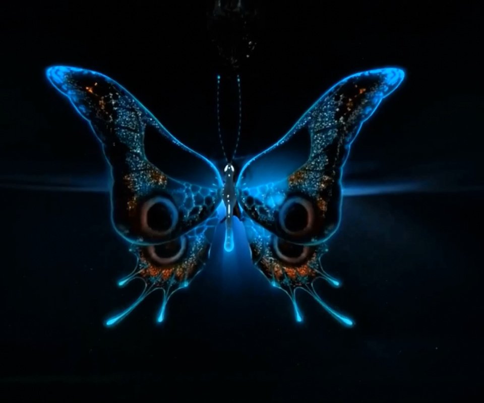 Обои свет, неон, насекомое, бабочка, крылья, черный фон, 3д, light, neon, insect, butterfly, wings, black background, 3d разрешение 1920x1080 Загрузить