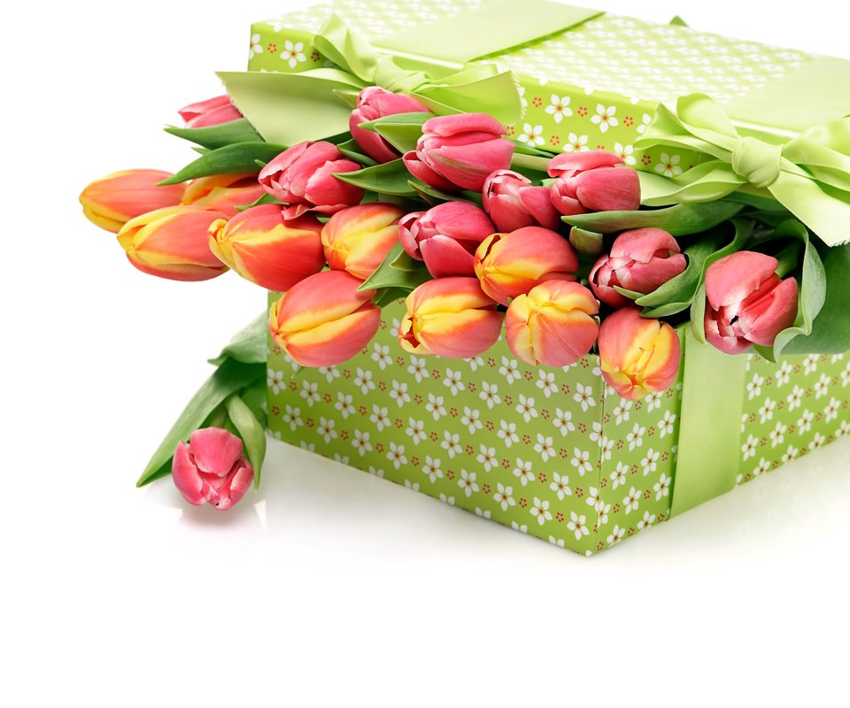 Обои цветы, букет, тюльпаны, белый фон, подарок, бантик, . коробка, flowers, bouquet, tulips, white background, gift, bow разрешение 8512x5664 Загрузить