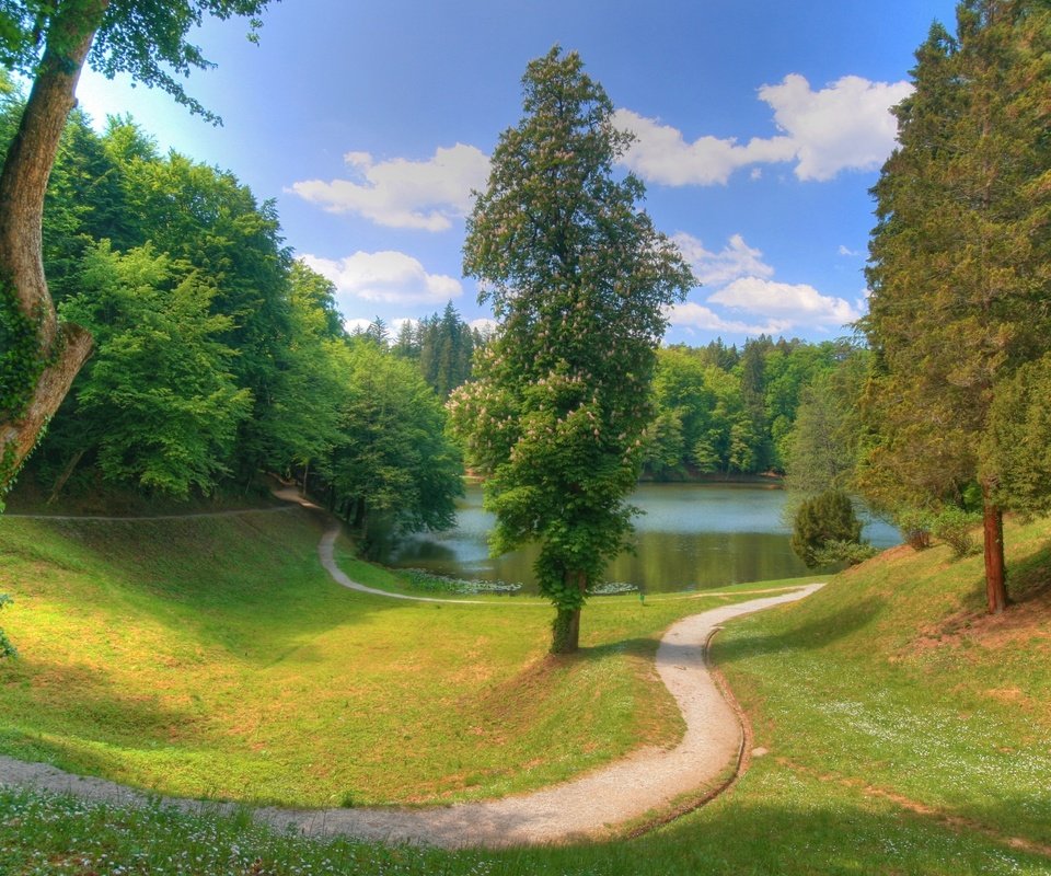 Обои облака, деревья, озеро, тропинка, пруд, clouds, trees, lake, path, pond разрешение 1920x1080 Загрузить