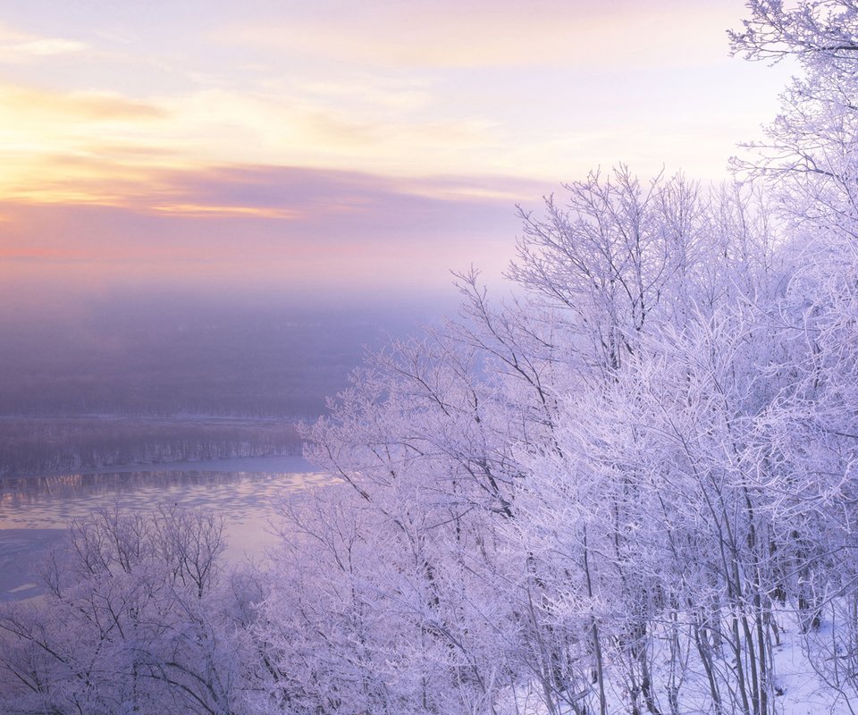 Обои деревья, снег, природа, закат, пейзаж, иней, сиреновое небо, trees, snow, nature, sunset, landscape, frost разрешение 1920x1080 Загрузить