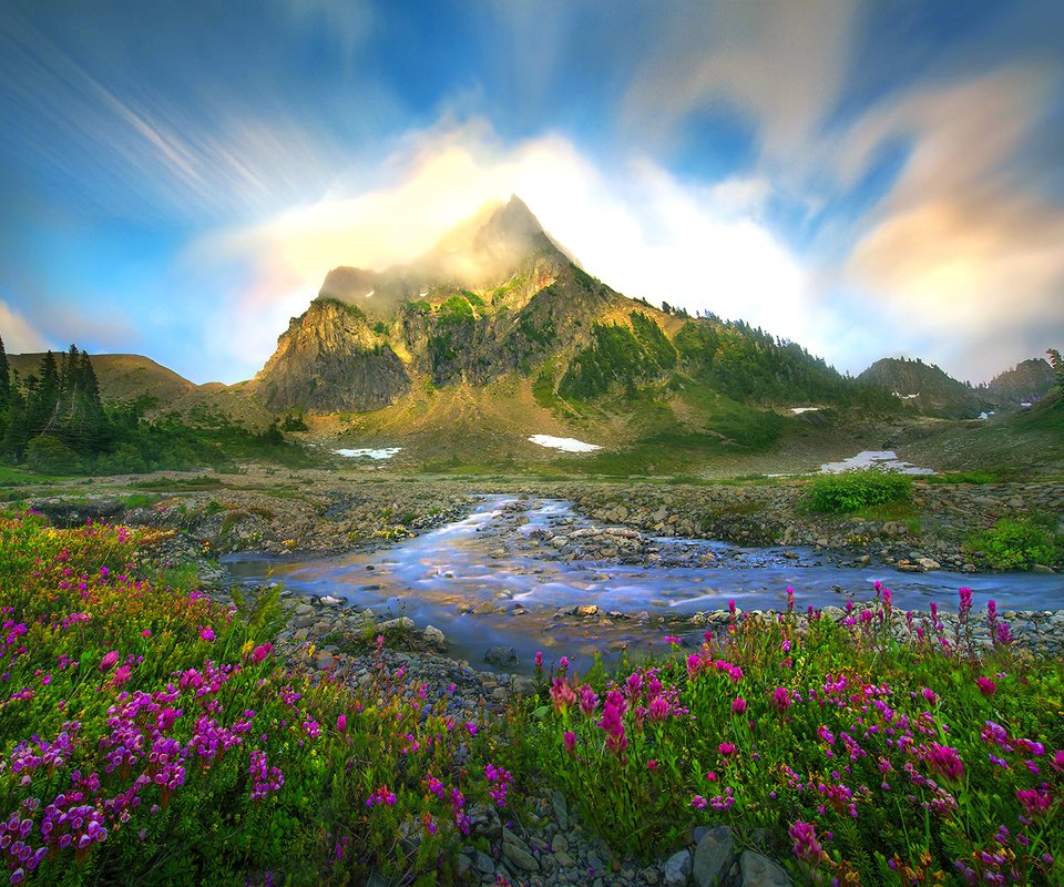 Обои цветы, ручей, гора, flowers, stream, mountain разрешение 1920x1312 Загрузить