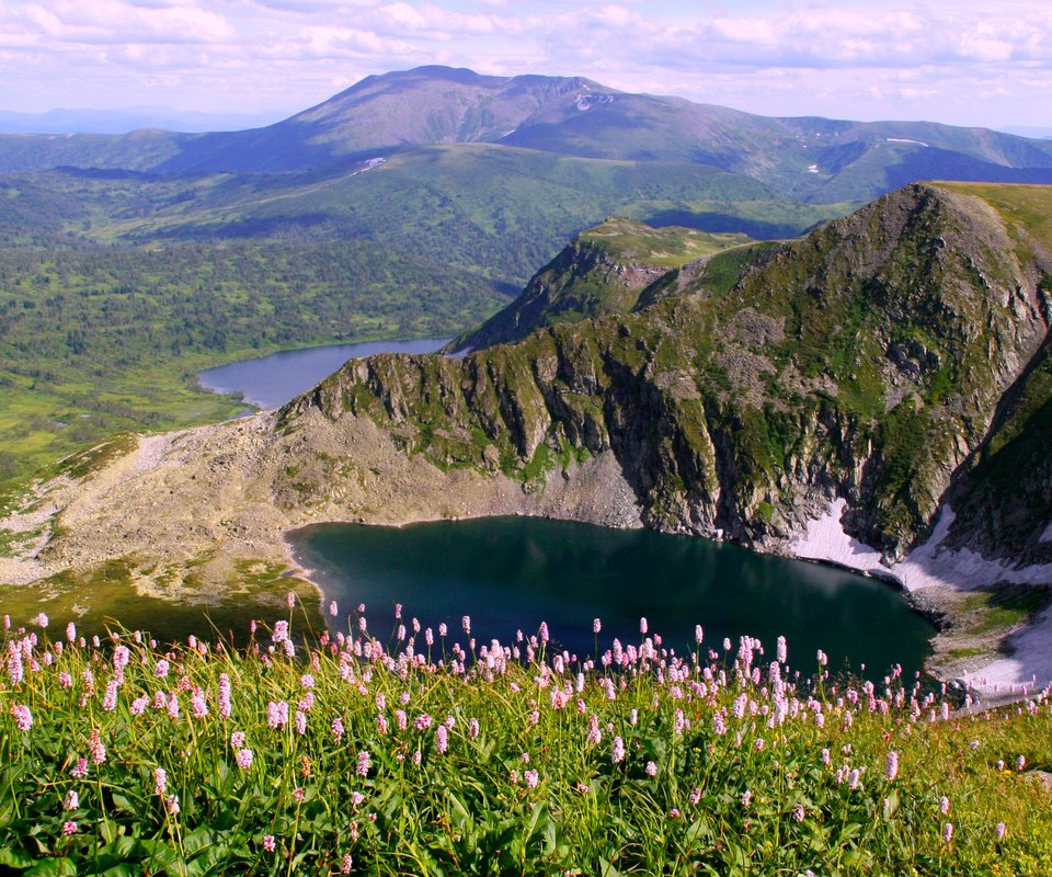 Обои цветы, озеро, горы, flowers, lake, mountains разрешение 1929x1240 Загрузить