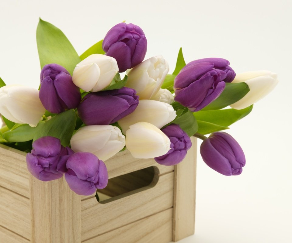 Обои весна, букет, тюльпаны, деревянный, ящик, spring, bouquet, tulips, wooden, box разрешение 6000x4000 Загрузить