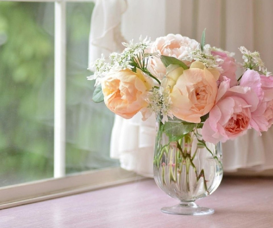Обои цветы, окно, ваза, штора, ранункулюс, flowers, window, vase, blind, ranunculus разрешение 1920x1271 Загрузить