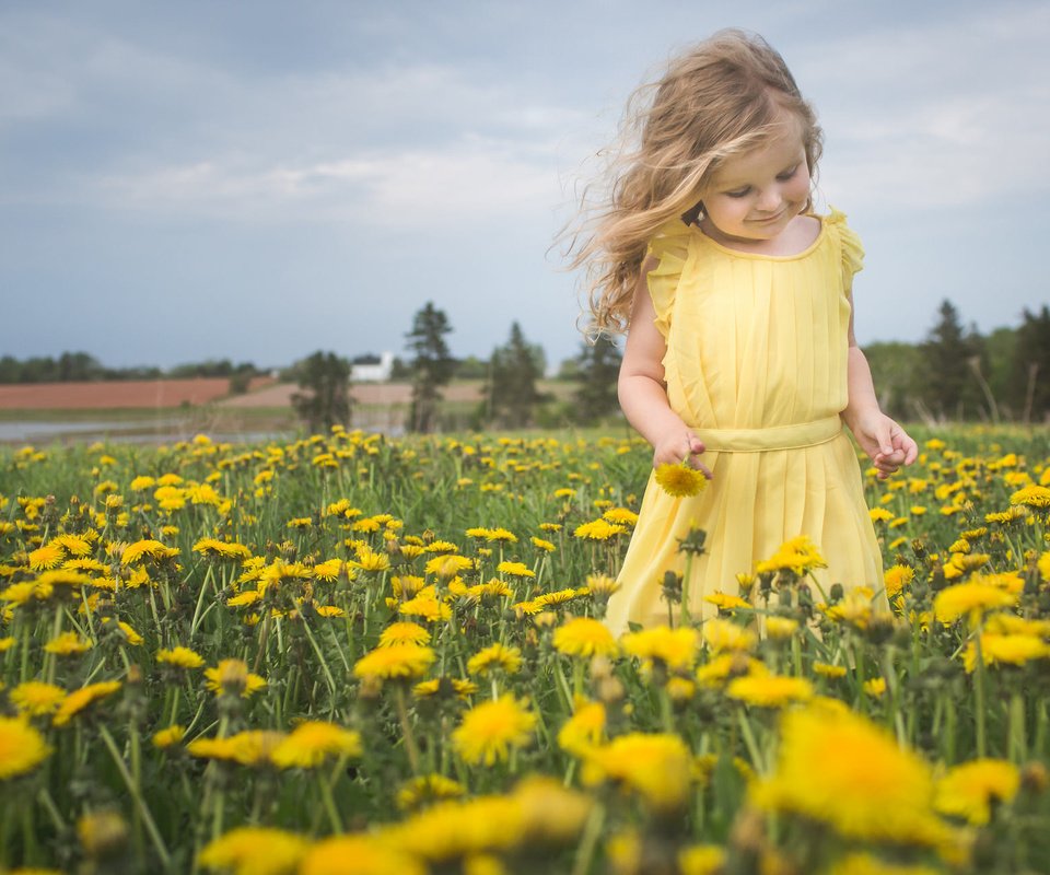 Обои цветы, природа, настроение, девочка, луг, одуванчики, flowers, nature, mood, girl, meadow, dandelions разрешение 2048x1288 Загрузить