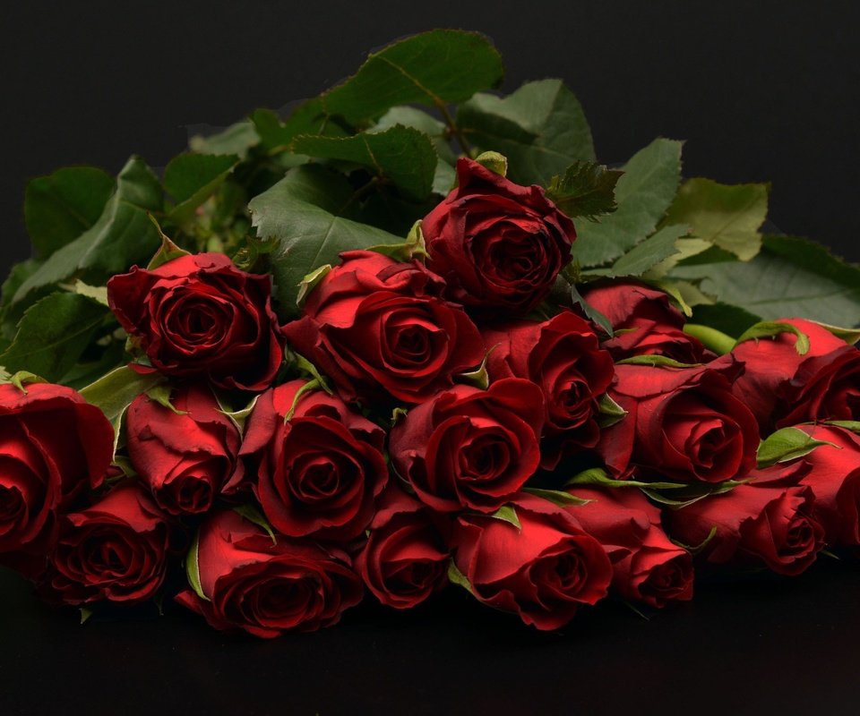 Обои бутоны, фон, букет, темный, красные розы, buds, background, bouquet, dark, red roses разрешение 1920x1280 Загрузить