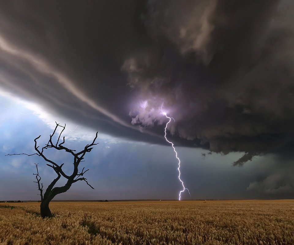 Обои дерево, молния, поле, tree, lightning, field разрешение 2048x1284 Загрузить