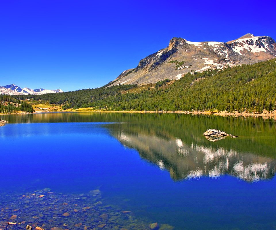 Обои озеро, горы, лес, lake, mountains, forest разрешение 1920x1200 Загрузить