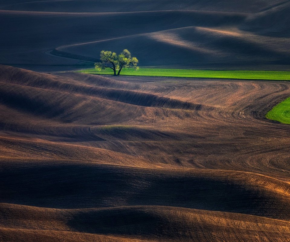 Обои холмы, дерево, поле, hills, tree, field разрешение 2048x1366 Загрузить