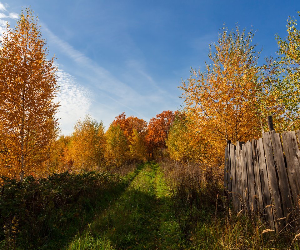 Обои деревья, пейзаж, осень, забор, trees, landscape, autumn, the fence разрешение 2304x1536 Загрузить