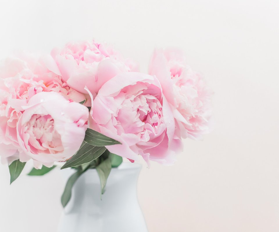 Обои букет, розовые, пионы, bouquet, pink, peonies разрешение 5472x3648 Загрузить