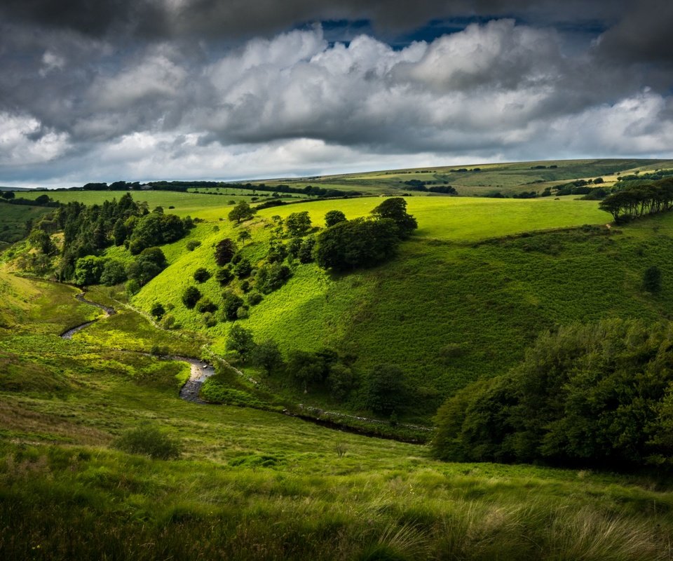 Обои небо, дорога, холмы, кусты, the sky, road, hills, the bushes разрешение 3840x2160 Загрузить