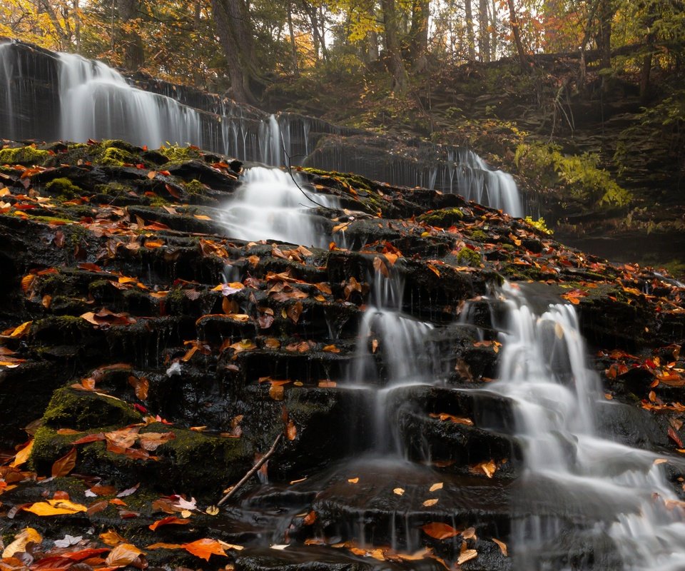 Обои деревья, природа, камни, лес, листья, водопад, сша, trees, nature, stones, forest, leaves, waterfall, usa разрешение 3715x2477 Загрузить