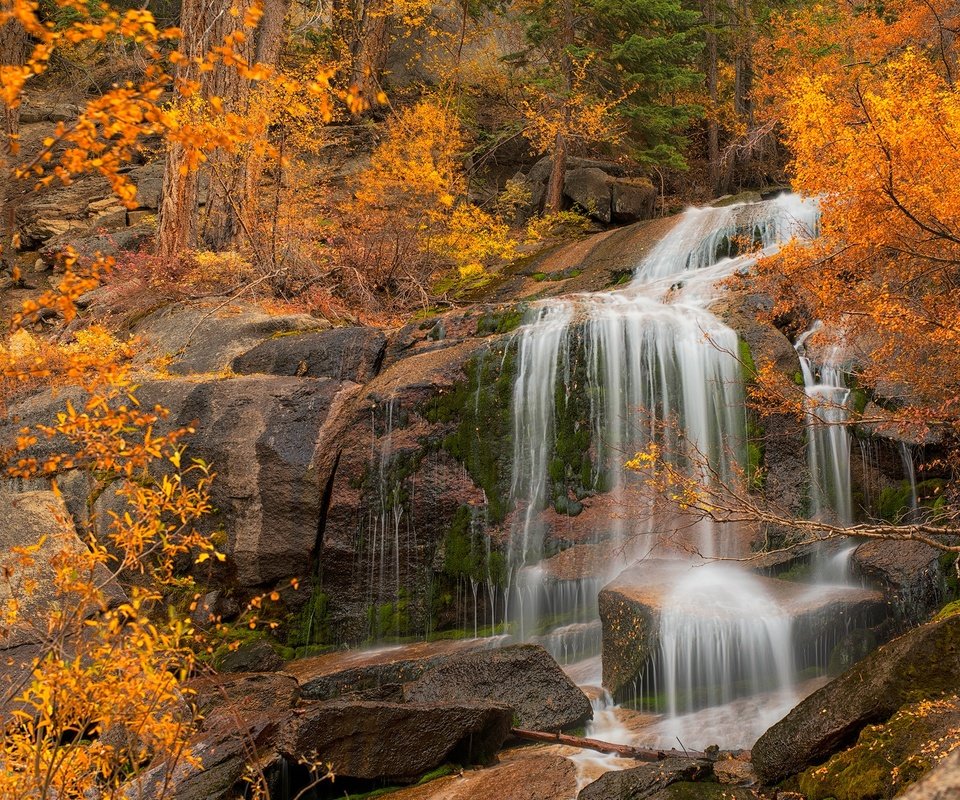 Обои деревья, скала, водопад, осень, калифорния, каскад, eastern sierra, trees, rock, waterfall, autumn, ca, cascade разрешение 2000x1292 Загрузить