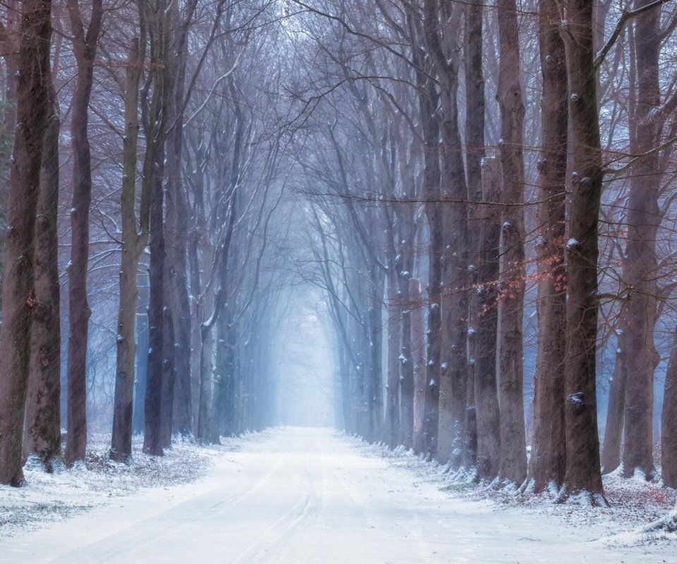 Обои дорога, лес, зима, road, forest, winter разрешение 3840x2160 Загрузить