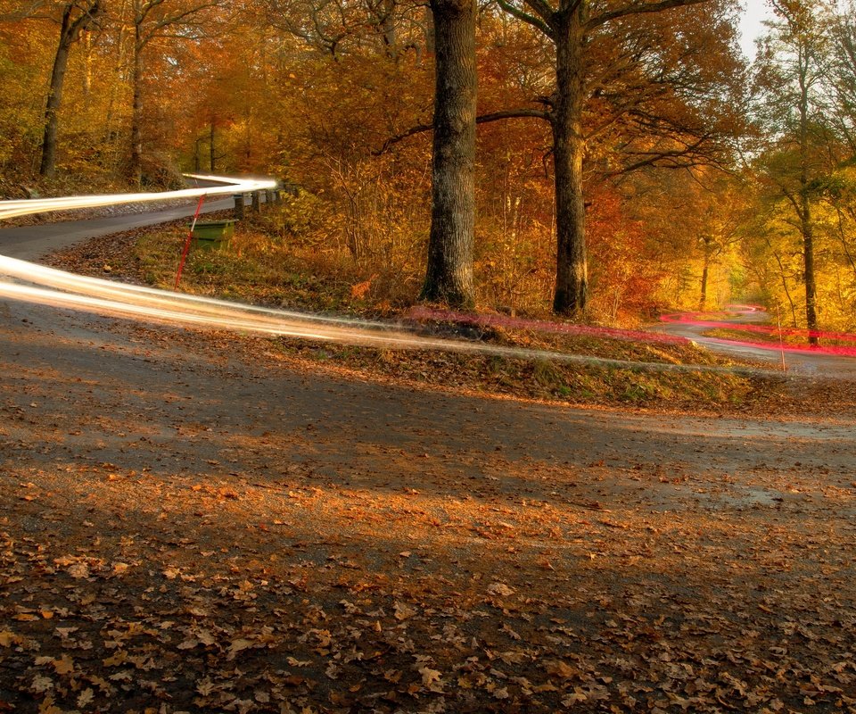 Обои дорога, огни, осень, road, lights, autumn разрешение 3840x2160 Загрузить