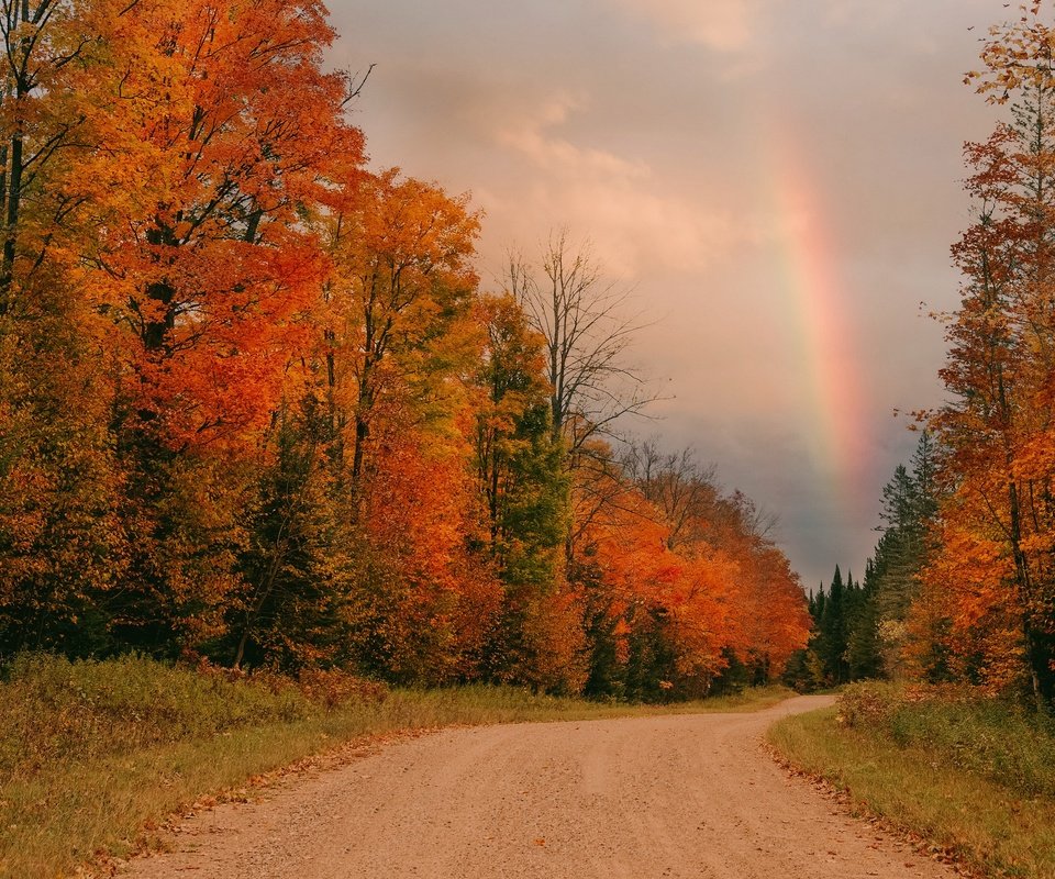 Обои дорога, осень, радуга, road, autumn, rainbow разрешение 3840x2160 Загрузить