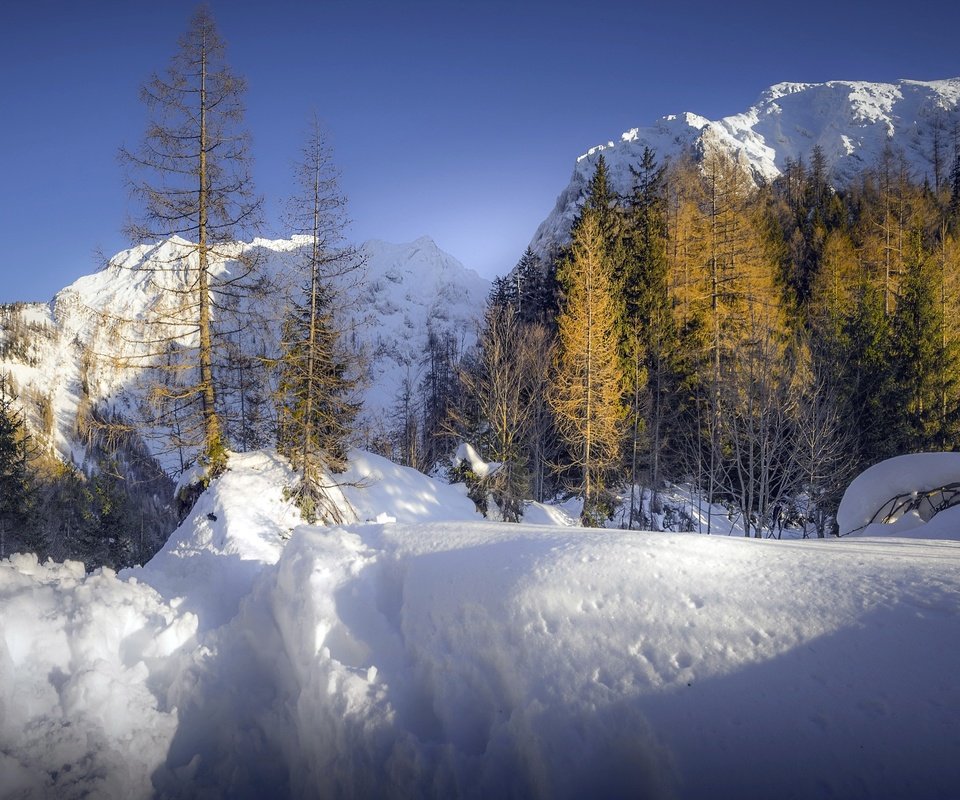 Обои горы, снег, лес, mountains, snow, forest разрешение 3053x1705 Загрузить