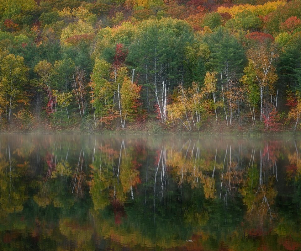 Обои озеро, лес, осень, lake, forest, autumn разрешение 2048x1268 Загрузить