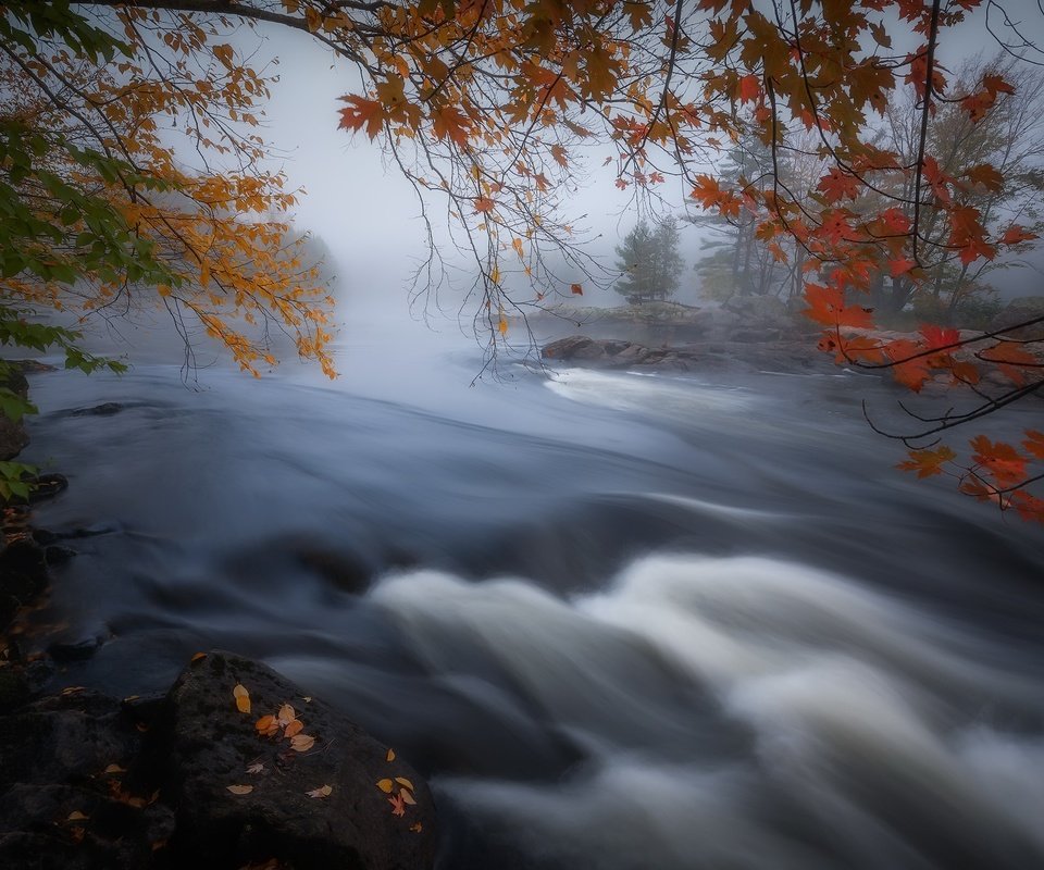 Обои река, туман, осень, канада, онтарио, river, fog, autumn, canada, ontario разрешение 2048x1365 Загрузить