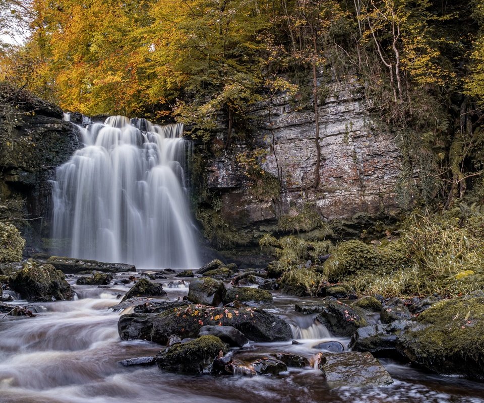 Обои река, водопад, river, waterfall разрешение 3840x2160 Загрузить