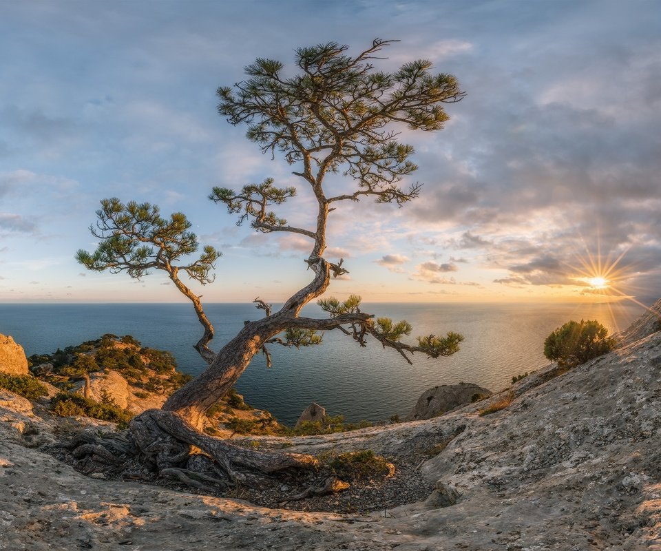 Обои крым, солнце, природа, закат, лучи, пейзаж, море, осень, сосна, crimea, the sun, nature, sunset, rays, landscape, sea, autumn, pine разрешение 1980x1338 Загрузить