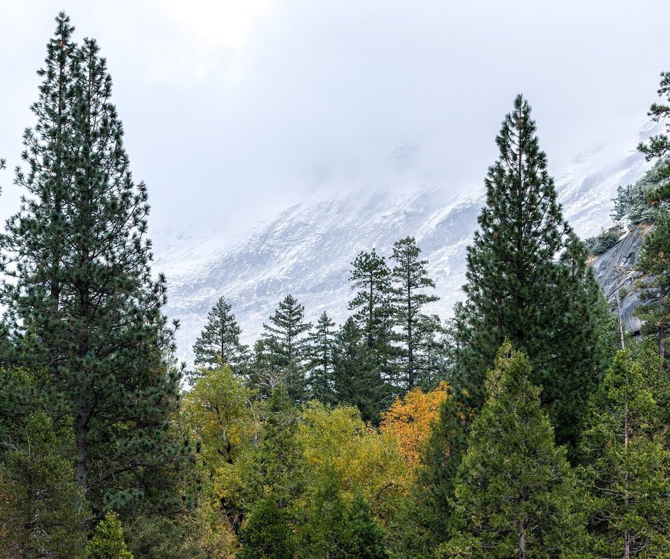 Обои сша, йосемити, национальный парк, сьерра-невада, usa, yosemite, national park, sierra nevada разрешение 2048x1365 Загрузить