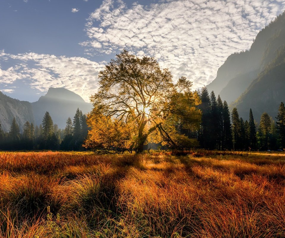 Обои деревья, горы, trees, mountains разрешение 2048x1365 Загрузить