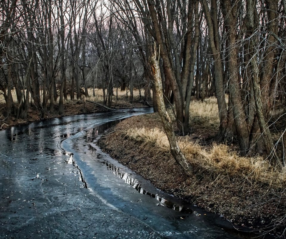 Обои деревья, река, природа, trees, river, nature разрешение 3840x2160 Загрузить