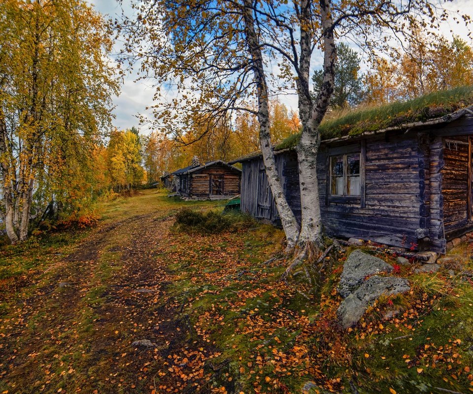 Обои дорога, дом, деревья, домик, окно, берег, листопад, лес, березы, листва, осень, водоем, road, house, trees, window, shore, falling leaves, forest, birch, foliage, autumn, pond разрешение 3072x1728 Загрузить