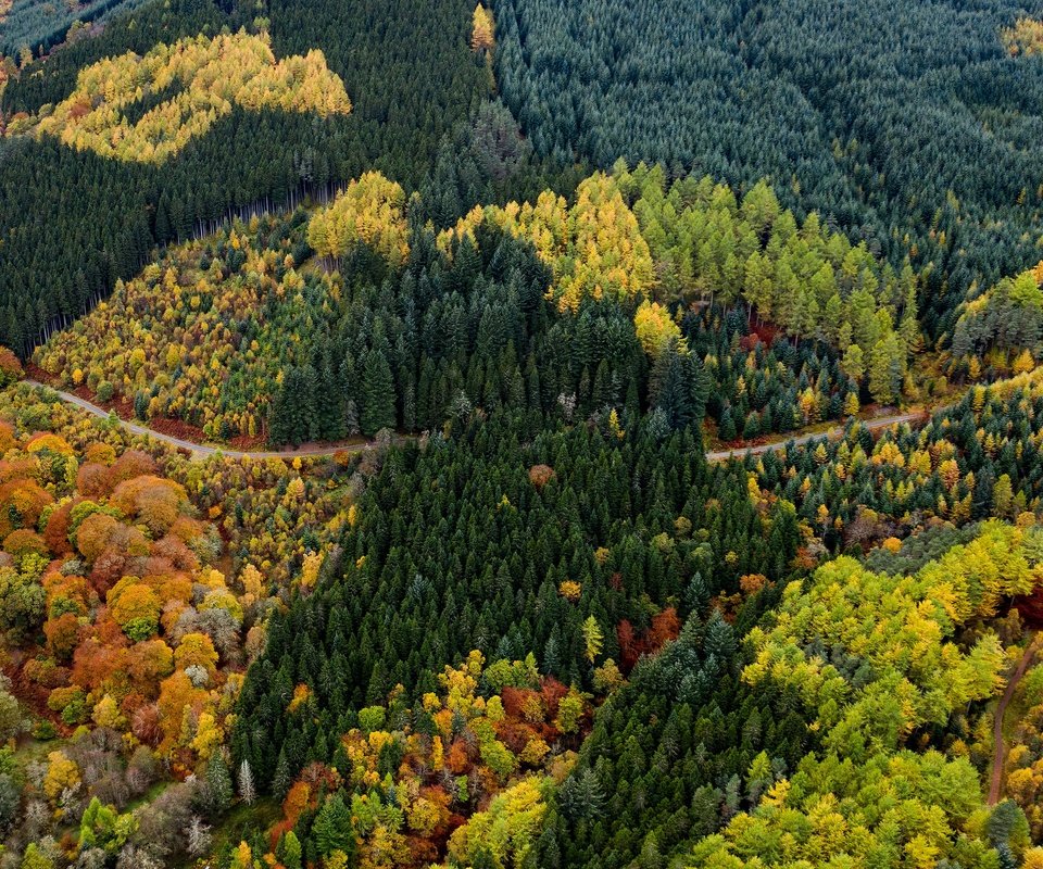 Обои дорога, лес, вид, осень, красота, краски осени, вид с высоты, road, forest, view, autumn, beauty, the colors of autumn, the разрешение 3840x2160 Загрузить