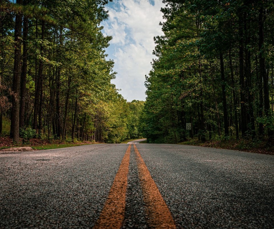 Обои дорога, лес, road, forest разрешение 3840x2160 Загрузить