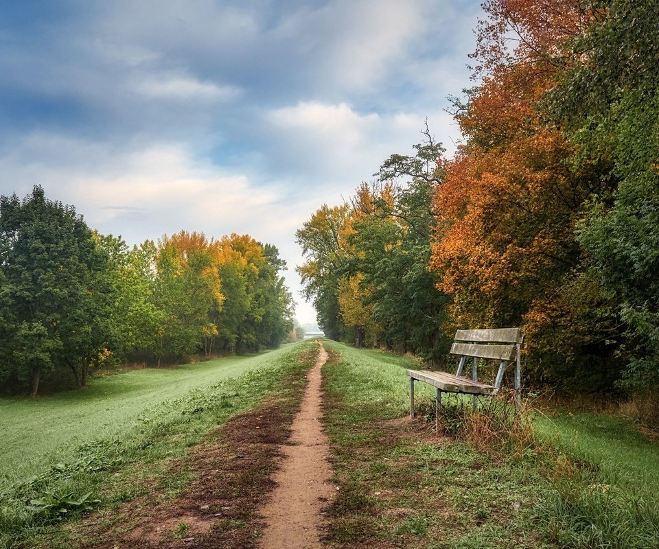 Обои дорога, осень, скамья, road, autumn, bench разрешение 2048x1365 Загрузить