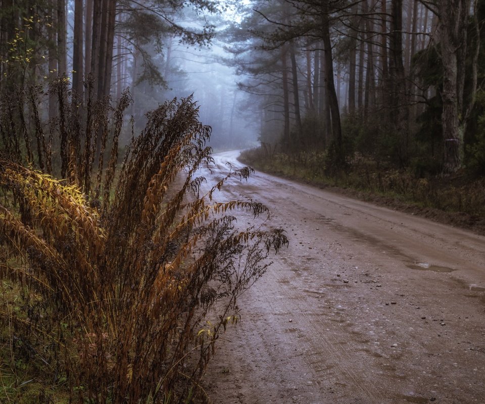 Обои дорога, осень, road, autumn разрешение 3840x2160 Загрузить