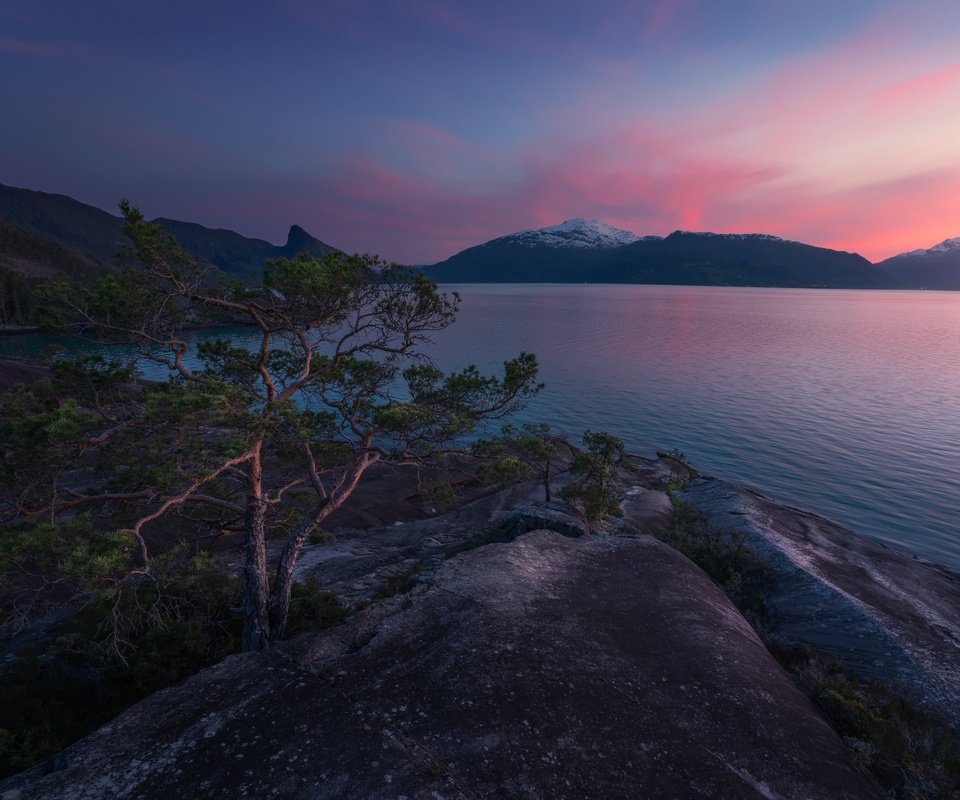 Обои горы, закат, сосны, норвегия, фьорд, mountains, sunset, pine, norway, the fjord разрешение 6144x4098 Загрузить