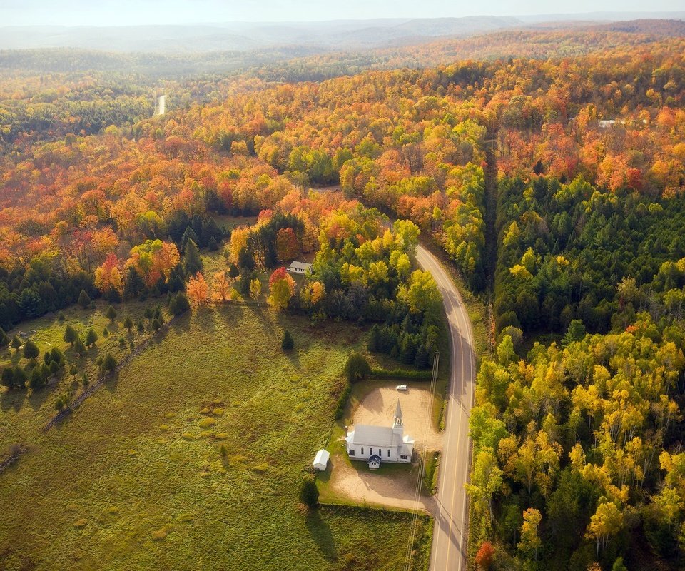 Обои лес, храм, осень, forest, temple, autumn разрешение 2048x1300 Загрузить