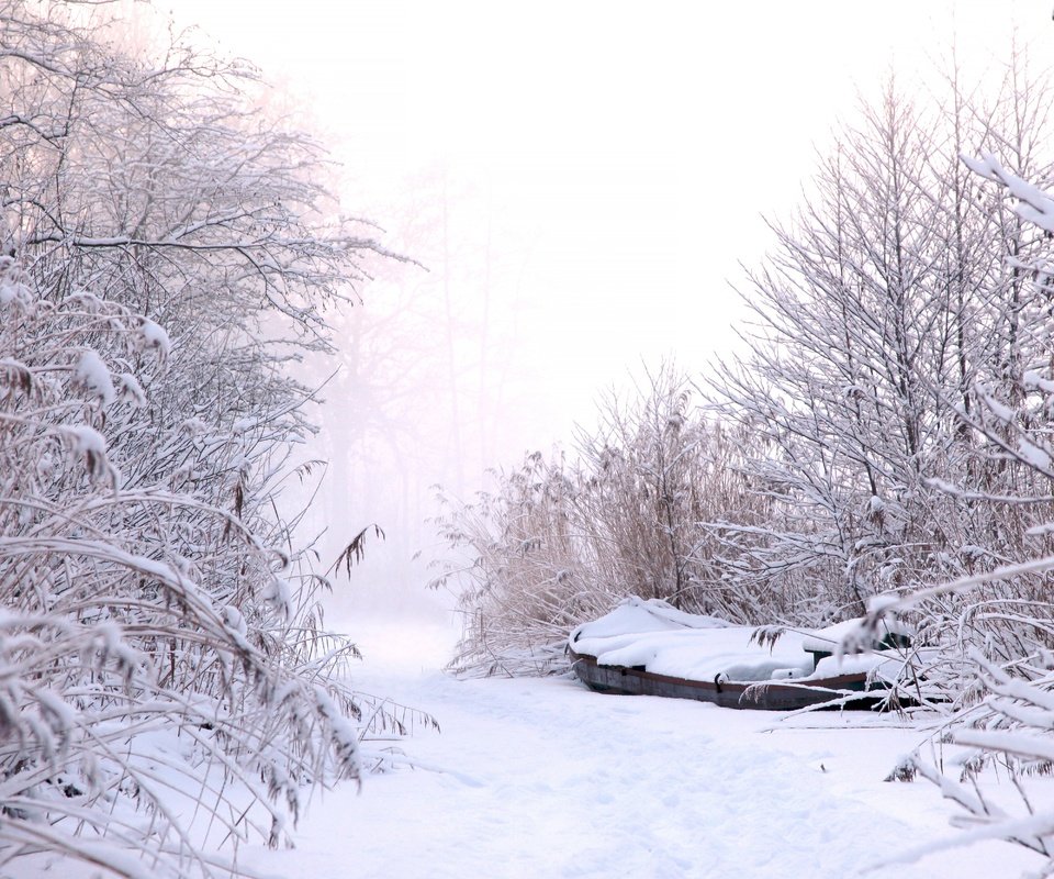 Обои небо, лодка, снег, сугробы, природа, зима, туман, кусты, иней, тропинка, the sky, boat, snow, the snow, nature, winter, fog, the bushes, frost, path разрешение 5000x3333 Загрузить