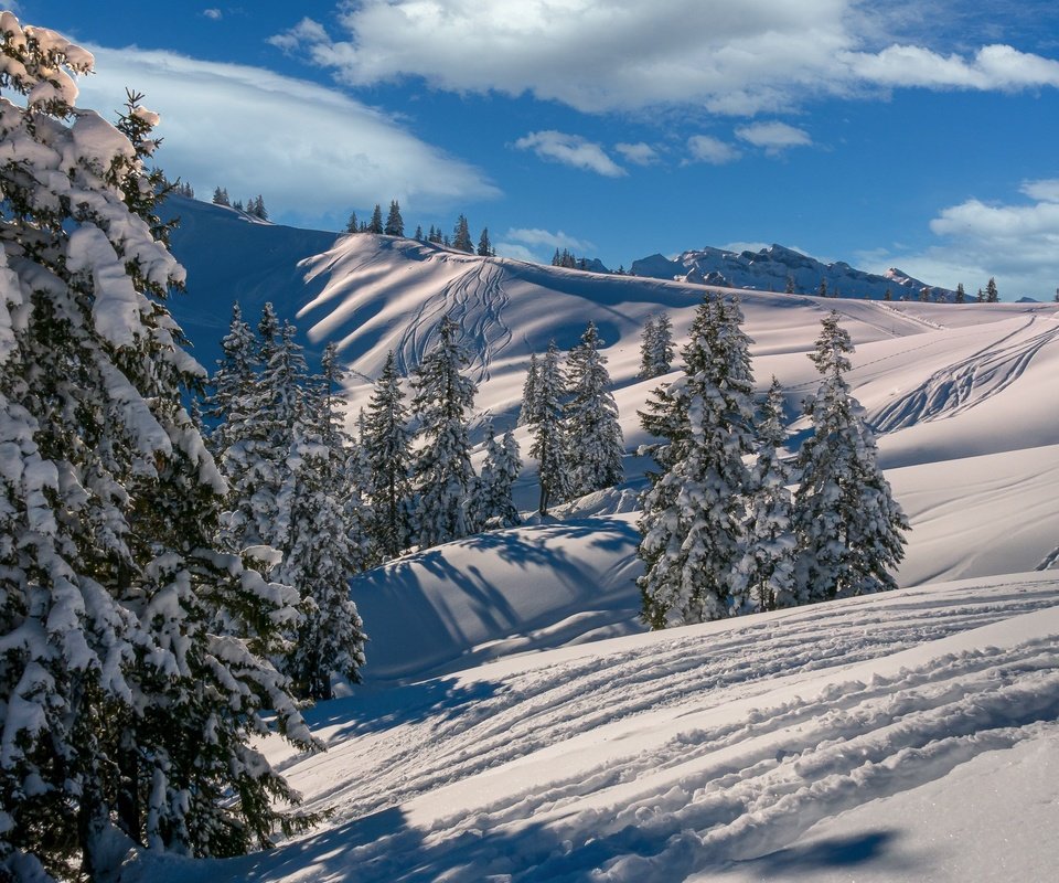 Обои облака, горы, снег, лес, зима, склоны, ели, лыжня, clouds, mountains, snow, forest, winter, the slopes, ate, trails разрешение 3000x1974 Загрузить